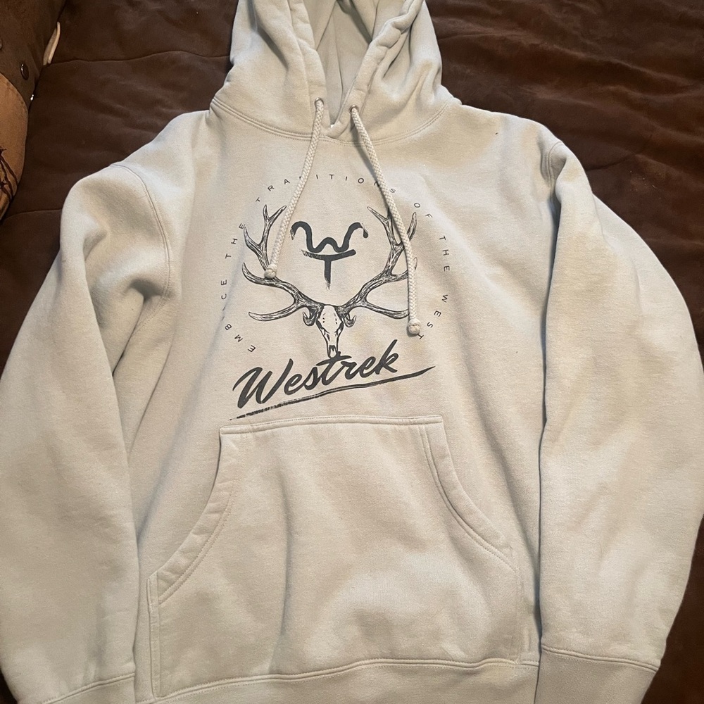 Women’s mint green Hoodie size medium . Please see pic of two spots on sleeve